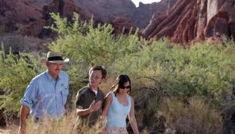 Red Rock Canyon Classic 4x4 Tour