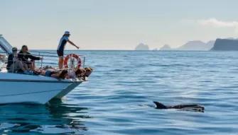 Hole in the Rock Dolphin Cruise Hole in the Rock Dolphin Cruise