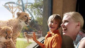 SeaWorld Parks & Entertainment® SeaWorld Parks & Entertainment®