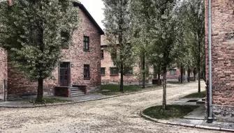 Auschwitz and Wieliczka Salt Mine in One Day