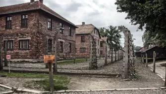 Auschwitz-Birkenau Guided Tour with Private Transport