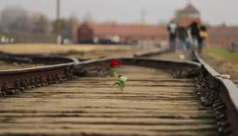 Auschwitz-Birkenau Guided Tour with Private Transport