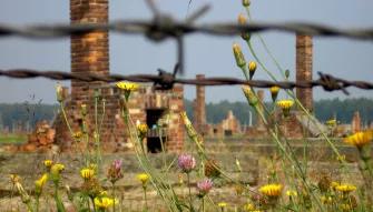 Auschwitz-Birkenau Memorial and Museum Tour Auschwitz-Birkenau Memorial and Museum Tour