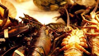 Barcelona Evening Tapas Walking Tour