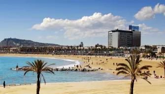 Barcelona Highlights Tour with Montjuïc Cable Car