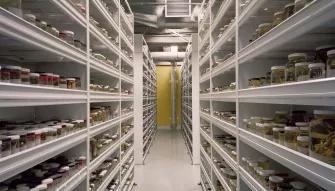 California Academy of Sciences - Behind-the-Scenes Academy Tour