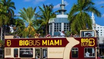 Big Bus Miami All Loops Bus Tours