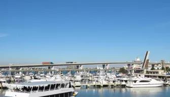 Big Bus Miami All Loops Bus Tour 