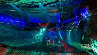 Bounce Below for Two - Experience Voucher