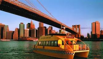 Statue of Liberty Express Downtown Cruise Statue of Liberty Express Downtown Cruise