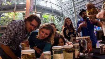 California Academy of Sciences Nightlife VIP Tour