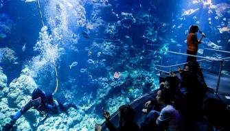 California Academy of Sciences Nightlife VIP Tour