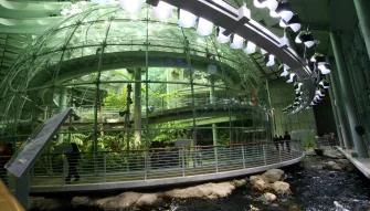 California Academy of Sciences - Behind-the-Scenes Aquarium Tour