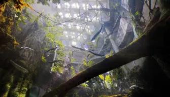 California Academy of Sciences California Academy of Sciences