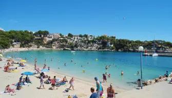 Caves of Drach Half-day Tour