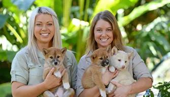 Croc Express - Australia Zoo from the Gold Coast