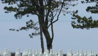 Day Trip to the D-Day Beaches 