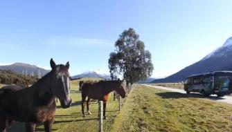 Dart River Wilderness Safari