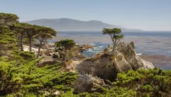 Day Trip to Monterey and Carmel 