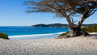 Day Trip to Monterey and Carmel 