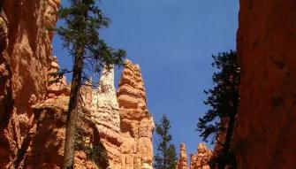 Bryce Canyon National Park Day Trip Bryce Canyon National Park Day Trip