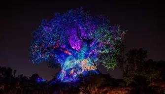 Disney After Hours - Unique Nighttime Experiences at Walt Disney World