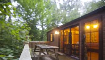 Adapted Premium Plus Cabin