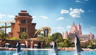 Atlantis Dolphin Encounter at Dolphin Bay Atlantis Dolphin Encounter at Dolphin Bay