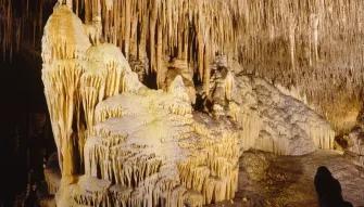 Caves of Drach Half-day Tour