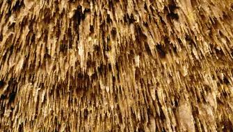 Caves of Drach Half-day Tour