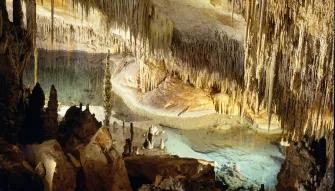 Caves of Drach Half-day Tour