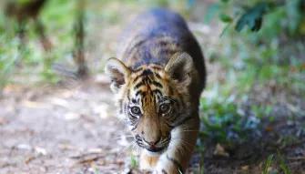 Dreamworld 3 Day Ticket Dreamworld 3 Day Ticket