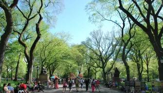 Central Park Walking Tour Central Park Walking Tour