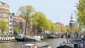 Dutch Masters and Marvels - Luxury Small Group Tour Van Gogh Museum and Rijksmuseum