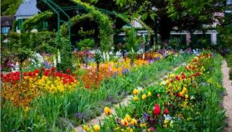 Giverny Half Day Tour with Audio Guide from Paris