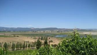 California Wine Country - Half Day Tour to Sonoma from San Francisco 