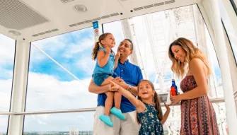 The Wheel at ICON Park™ Ticket