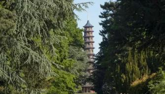 Kew Gardens and Kew Palace Ticket