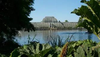 Kew Gardens and Kew Palace Ticket