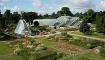 Kew Gardens and Kew Palace Ticket