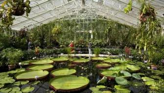 Kew Gardens and Kew Palace Ticket