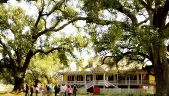 Double Plantation Tour