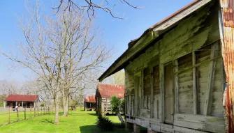 Double Plantation Tour