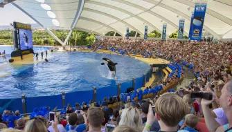 Loro Parque One Day Ticket