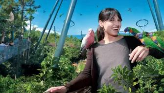 Loro Parque with Transport