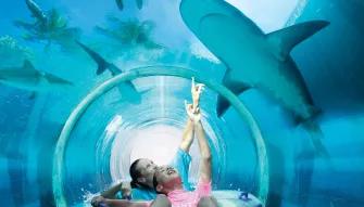[COMBO-DO NOT BOOK] Aquaventure Water Park Admission Ticket