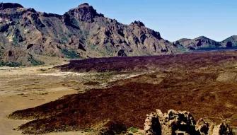 Mount Teide & Loro Parque