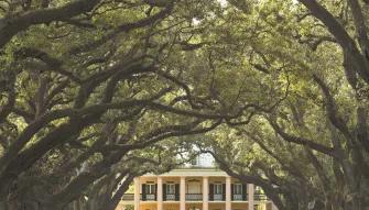 Oak Alley Plantation Tour