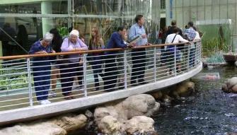 California Academy of Sciences California Academy of Sciences