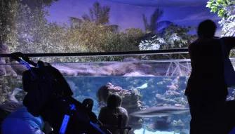 Palma Aquarium Palma Aquarium